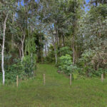 60 Shellcot Street, TOOGOOM, QLD 4655 AUS