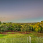 126 Irrawarra Road, GRAHAMS CREEK, QLD 4650 AUS