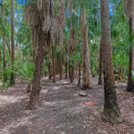 14-16 Pristine Place, DUNDOWRAN BEACH, QLD 4655 AUS