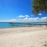 U7/65 Taylor Street, PIALBA, QLD 4655 AUS