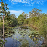74 Swan Drive, BOORAL, QLD 4655 AUS