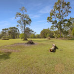 225 Booral Road, URANGAN, QLD 4655 AUS