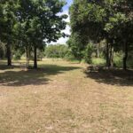 10 Waterview Drive, DUNDOWRAN BEACH, QLD 4655 AUS
