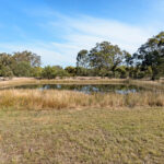162 Moorabinda Drive, SUNSHINE ACRES, QLD 4655 AUS