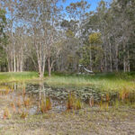 139 Moes Road, WALLIGAN, QLD 4655 AUS