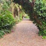 7 Stocks Road, DUNDOWRAN BEACH, QLD 4655 AUS