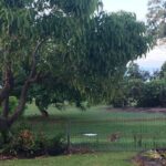 16 Mant Street, POINT VERNON, QLD 4655 AUS