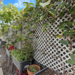 20/835 Boat Harbour Drive, URANGAN, QLD 4655 AUS