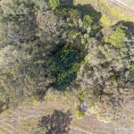 1 Moes Road, WALLIGAN, QLD 4655 AUS