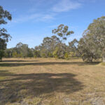 1 Moes Road, WALLIGAN, QLD 4655 AUS