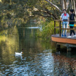 4/71 Elizabeth Street, URANGAN, QLD 4655 AUS