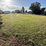 41 Hillyard Street, PIALBA, QLD 4655 AUS