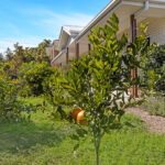 19 Freshwater Street, SCARNESS, QLD 4655 AUS