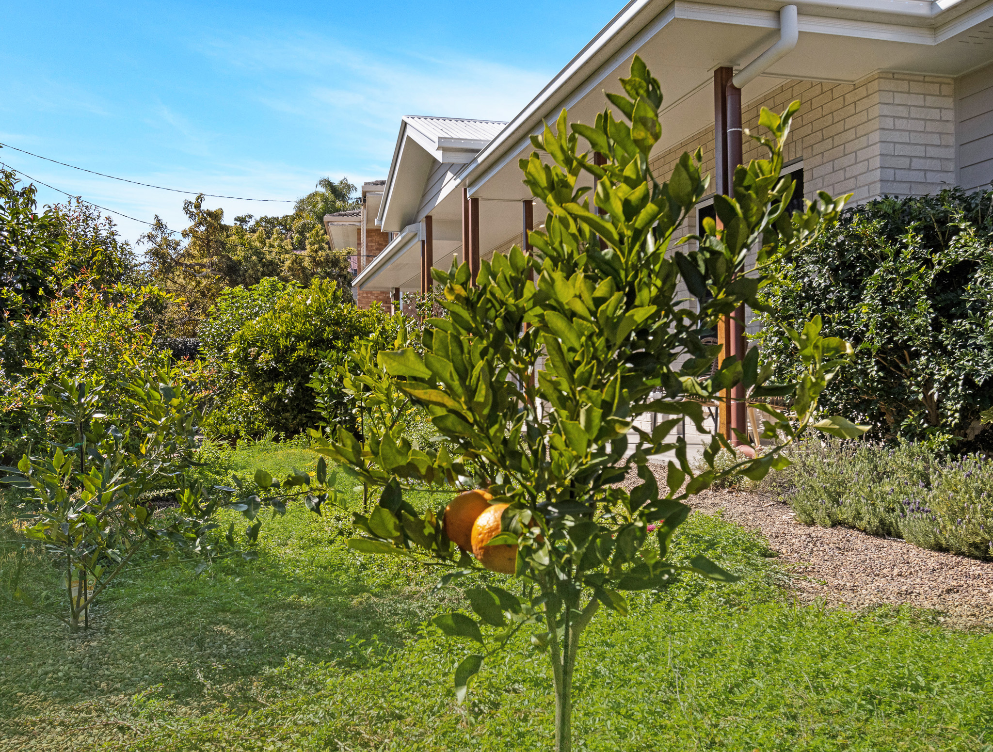 19 Freshwater Street, SCARNESS, QLD 4655 AUS