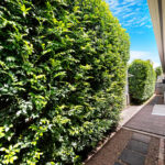 14 Picadilly Circuit, URRAWEEN, QLD 4655 AUS