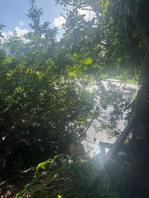 1/67 Truro Street, TORQUAY, QLD 4655 AUS