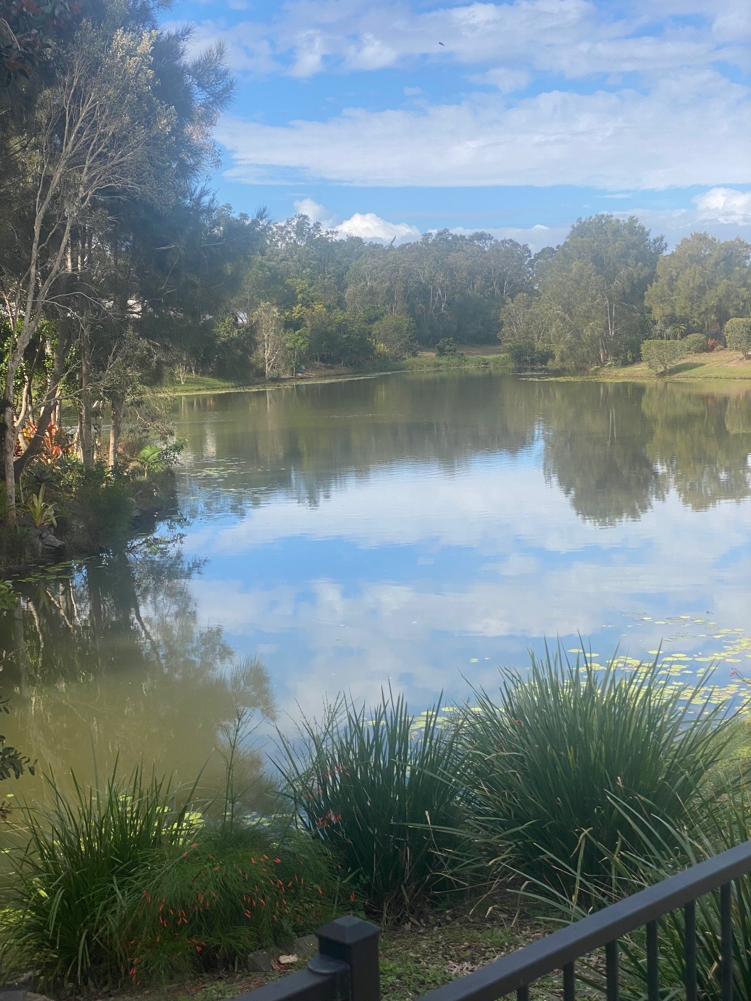 18 Conservation Drive, URRAWEEN, QLD 4655 AUS