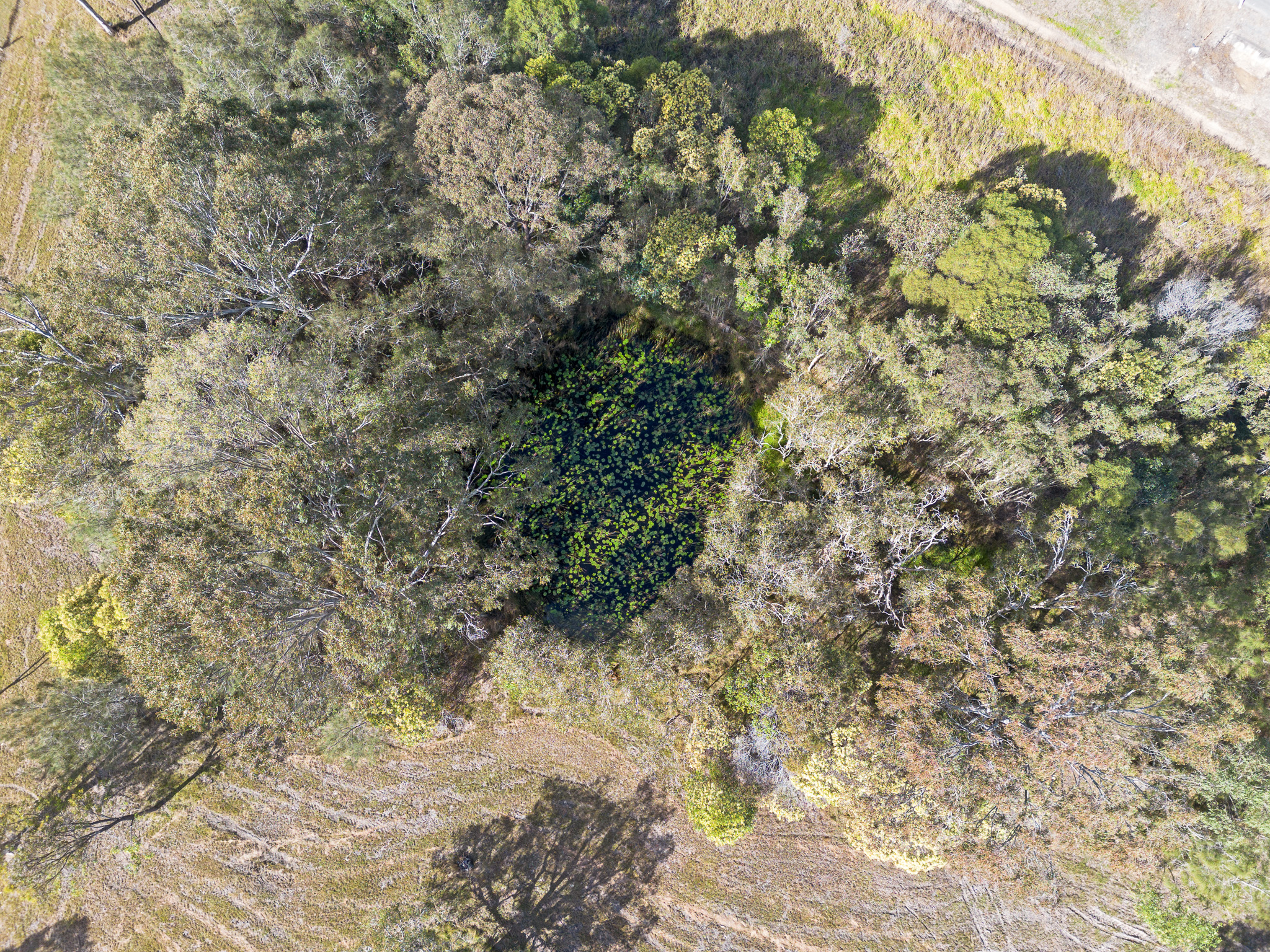 1 Moes Road, WALLIGAN, QLD 4655 AUS