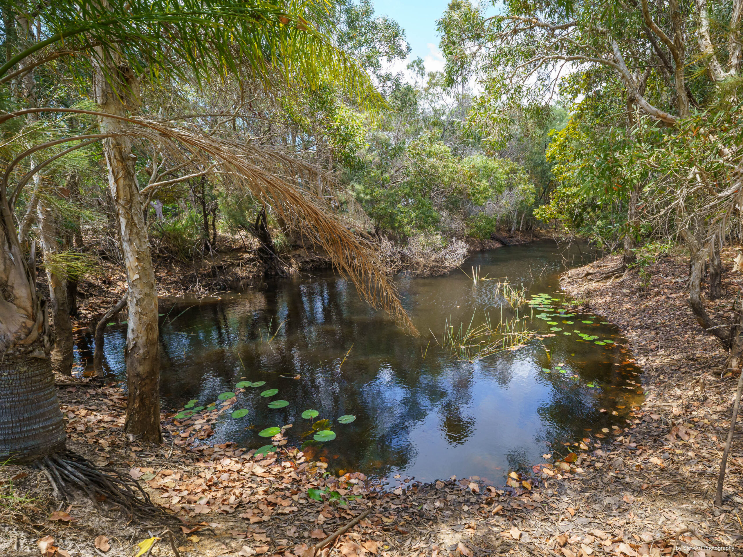 33 Shore Road West, BOORAL, QLD 4655 AUS