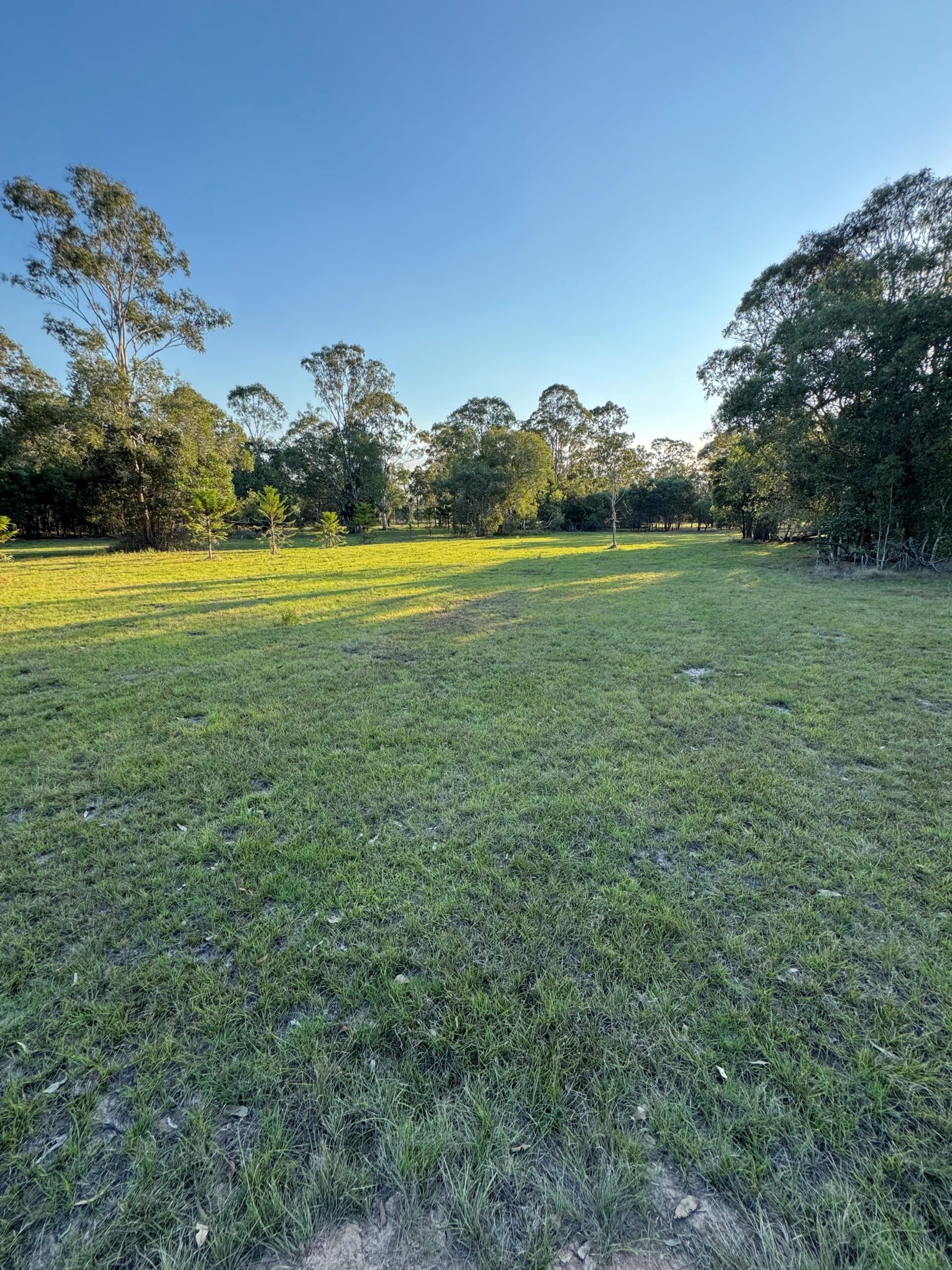1 Moes Road, WALLIGAN, QLD 4655 AUS