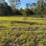 1 Moes Road, WALLIGAN, QLD 4655 AUS