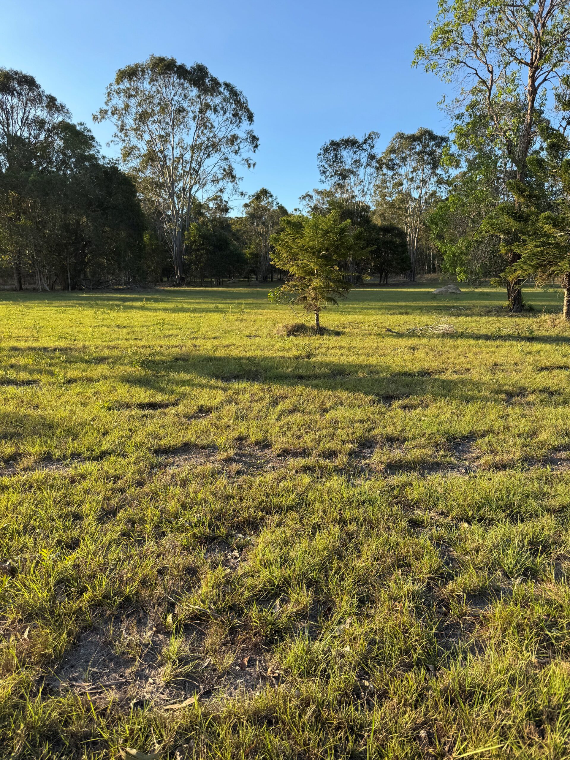 1 Moes Road, WALLIGAN, QLD 4655 AUS