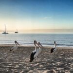 26 Lester Crescent, TORQUAY, QLD 4655 AUS