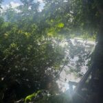 1/67 Truro Street, TORQUAY, QLD 4655 AUS