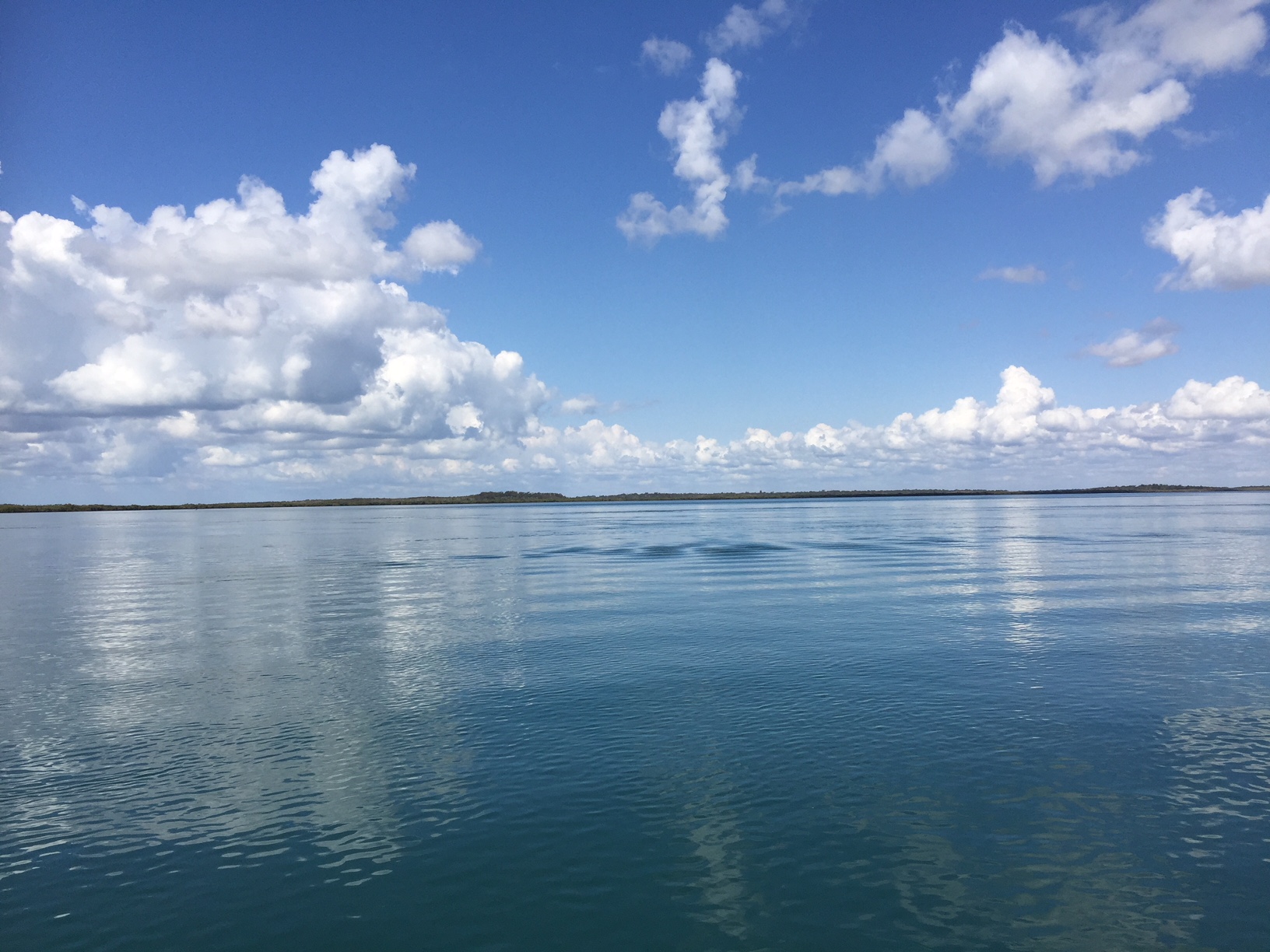 4 Avolet Crescent, RIVER HEADS, QLD 4655 AUS