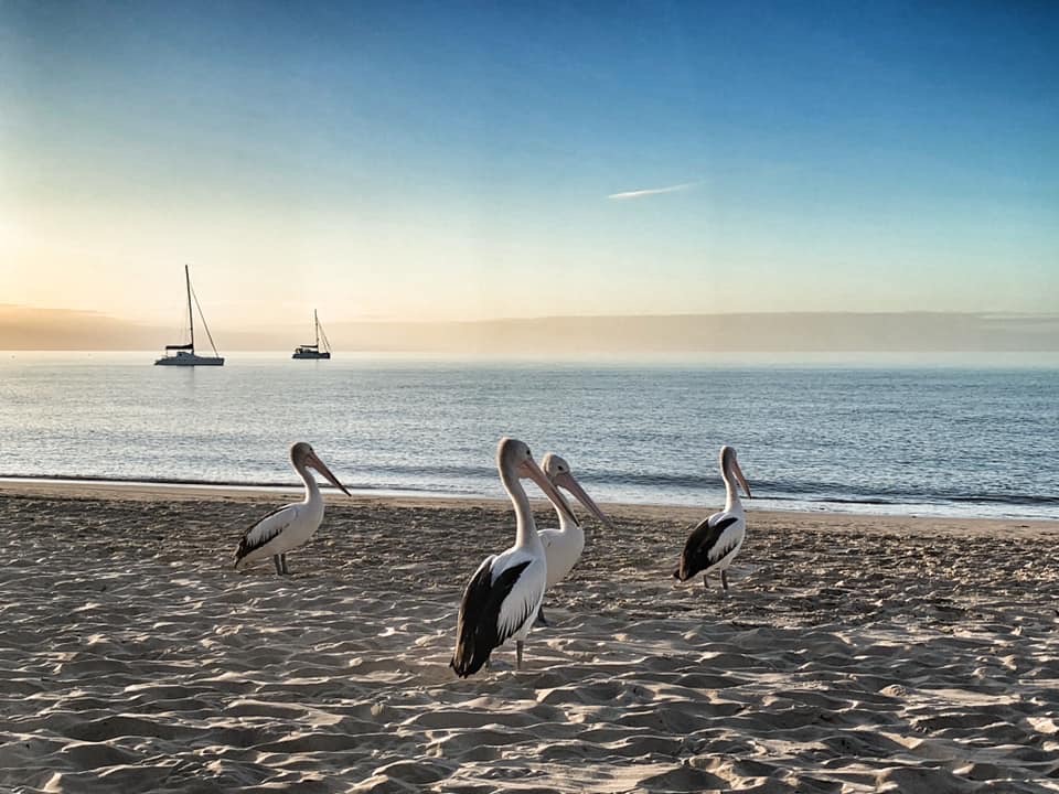 26 Lester Crescent, TORQUAY, QLD 4655 AUS