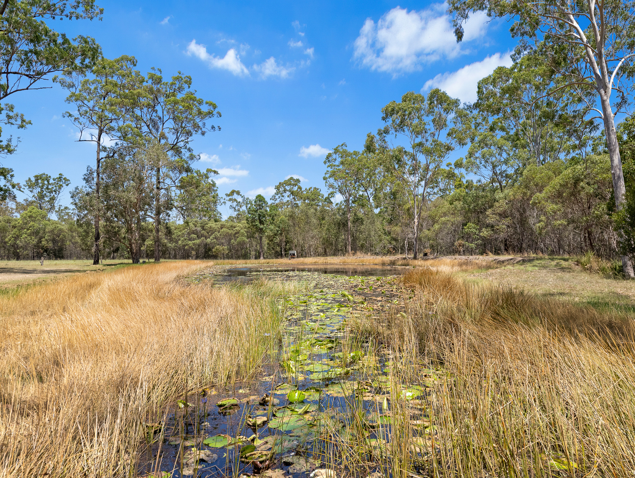 200 Parke Avenue, SUNSHINE ACRES, QLD 4655 AUS