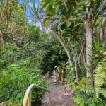 11 Awinya Court, URRAWEEN, QLD 4655 AUS