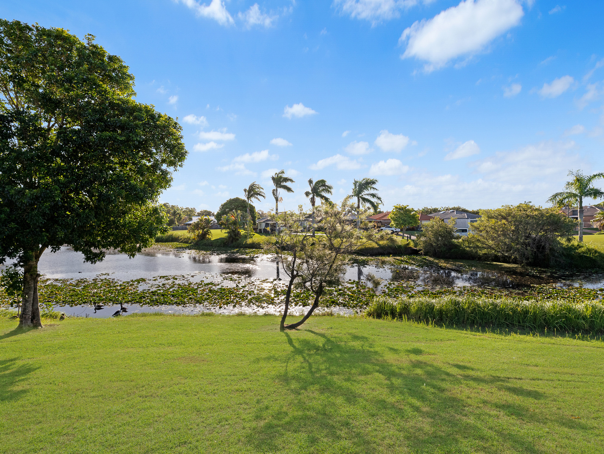 9 Florida Court, TORQUAY, QLD 4655 AUS