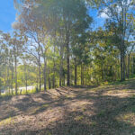 20 Longview  Drive, RIVER HEADS, QLD 4655 AUS