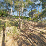 20 Longview  Drive, RIVER HEADS, QLD 4655 AUS