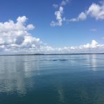 4 Avolet Crescent, RIVER HEADS, QLD 4655 AUS