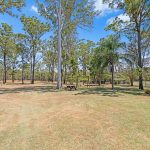 200 Parke Avenue, SUNSHINE ACRES, QLD 4655 AUS
