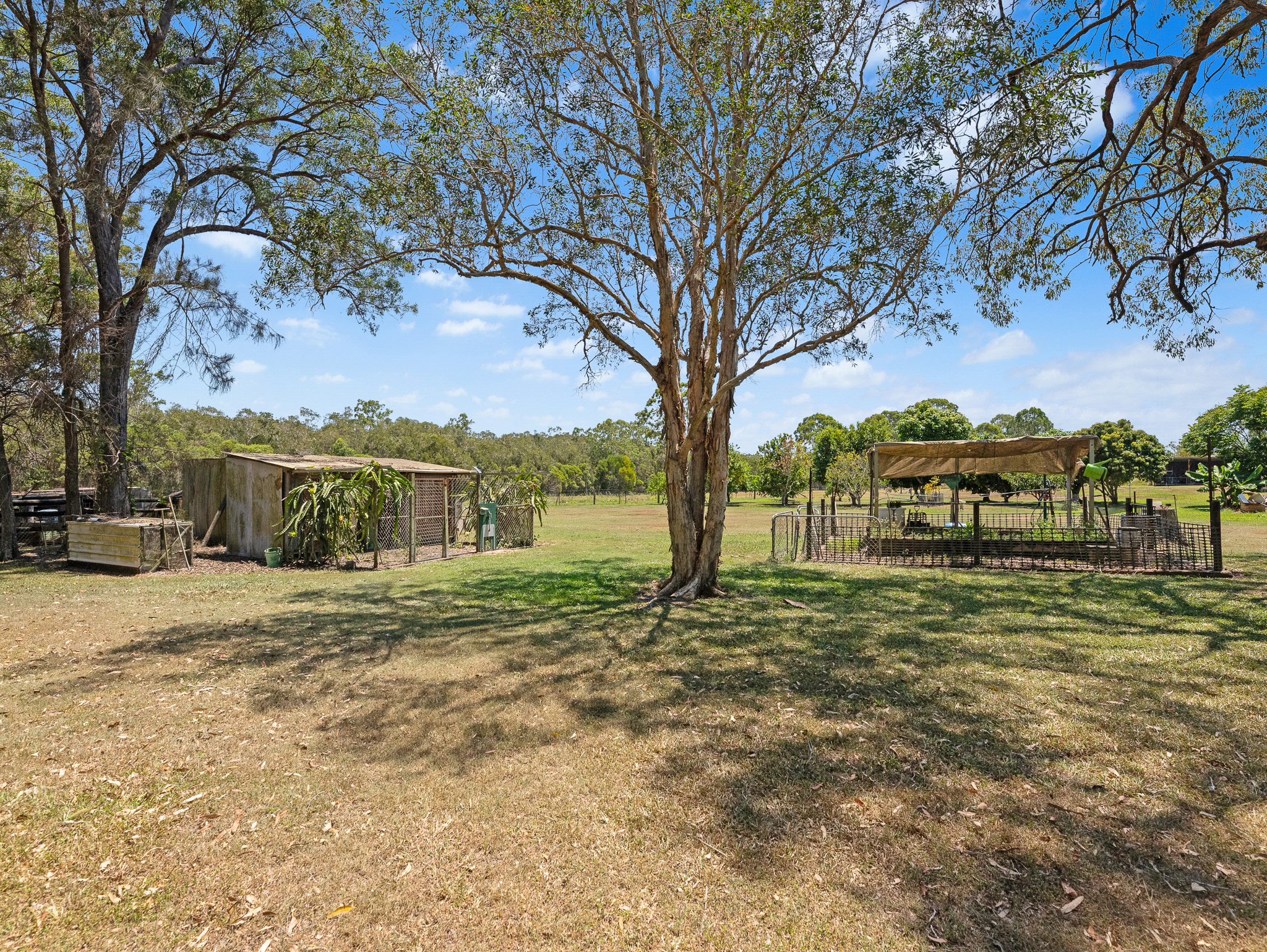 200 Parke Avenue, SUNSHINE ACRES, QLD 4655 AUS