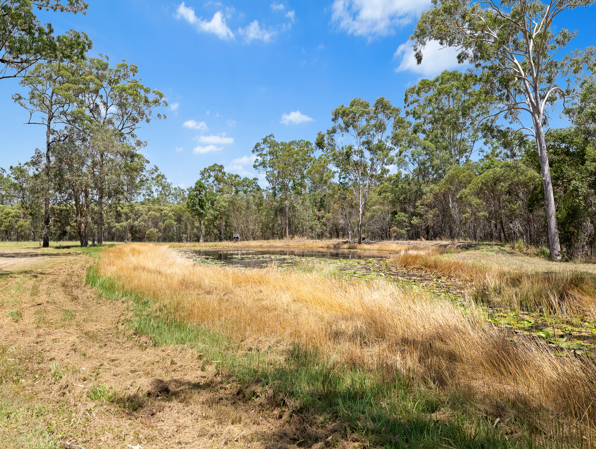 200 Parke Avenue, SUNSHINE ACRES, QLD 4655 AUS