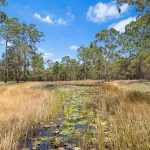 200 Parke Avenue, SUNSHINE ACRES, QLD 4655 AUS