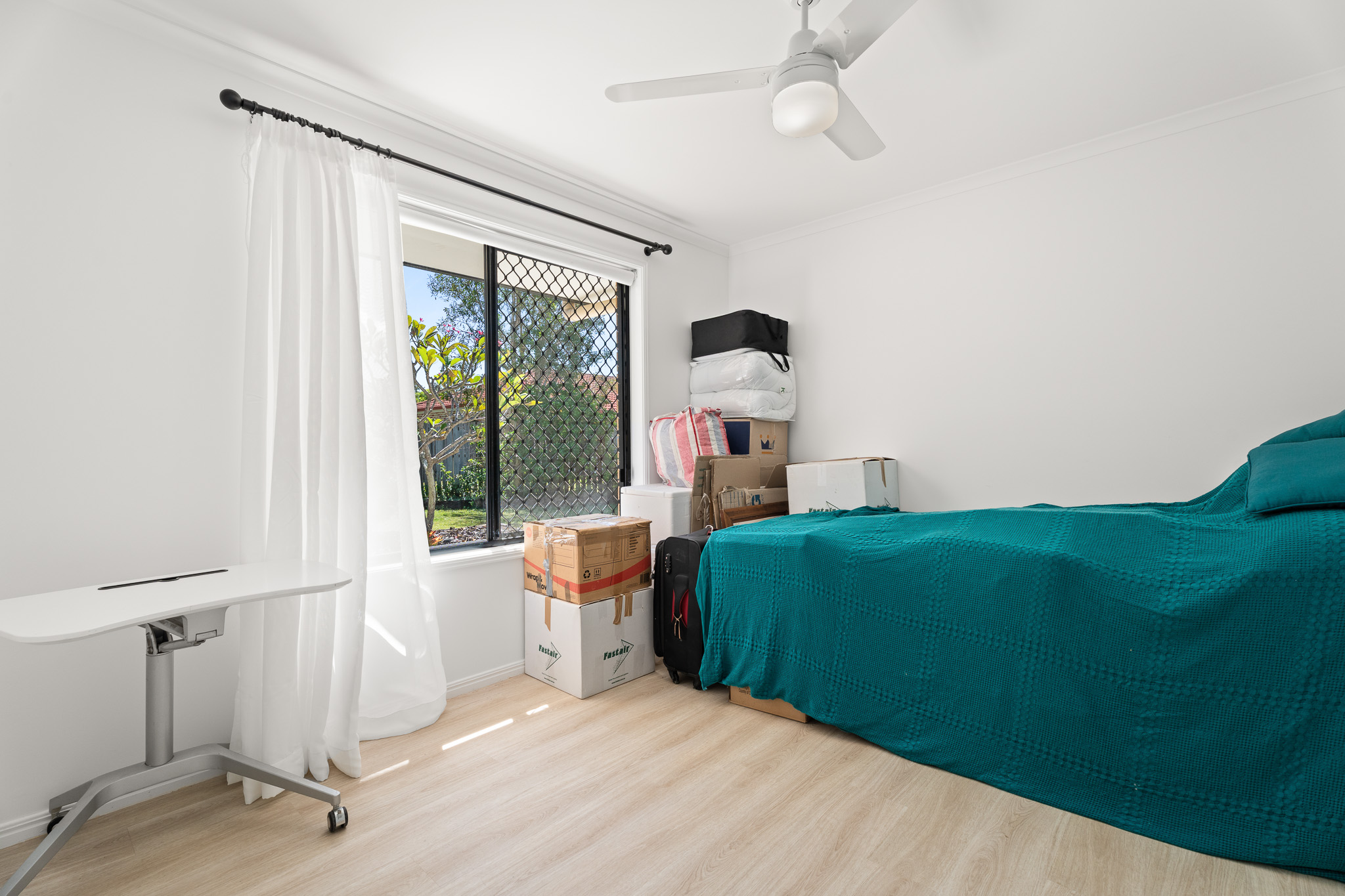 42 Conondale Court, TORQUAY, QLD 4655 AUS