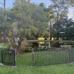 200 Parke Avenue, SUNSHINE ACRES, QLD 4655 AUS