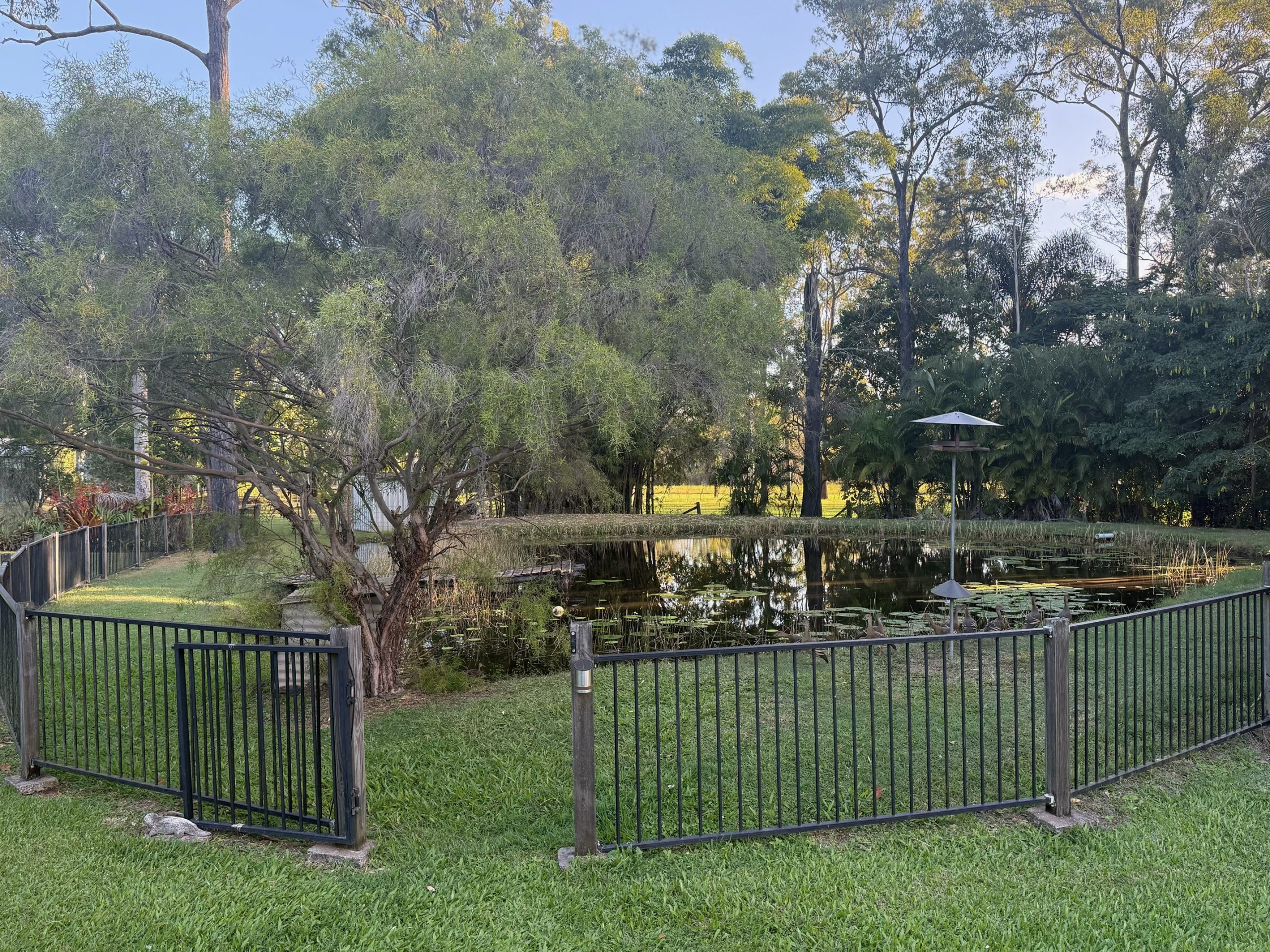 200 Parke Avenue, SUNSHINE ACRES, QLD 4655 AUS