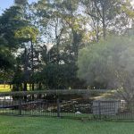 200 Parke Avenue, SUNSHINE ACRES, QLD 4655 AUS