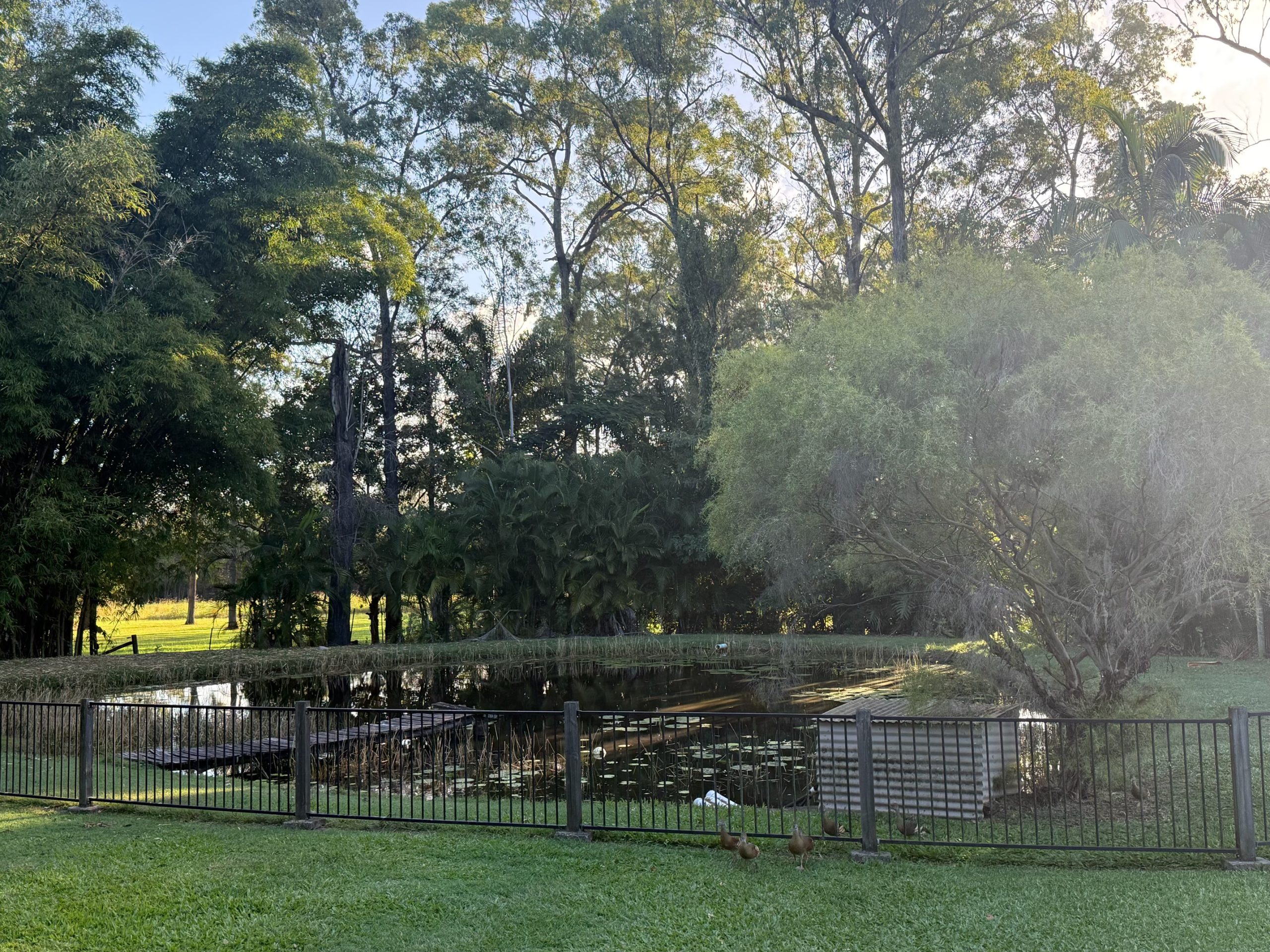 200 Parke Avenue, SUNSHINE ACRES, QLD 4655 AUS