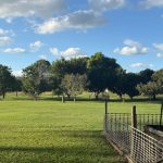 200 Parke Avenue, SUNSHINE ACRES, QLD 4655 AUS