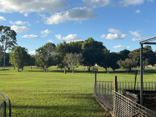 200 Parke Avenue, SUNSHINE ACRES, QLD 4655 AUS