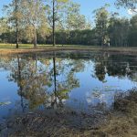 200 Parke Avenue, SUNSHINE ACRES, QLD 4655 AUS