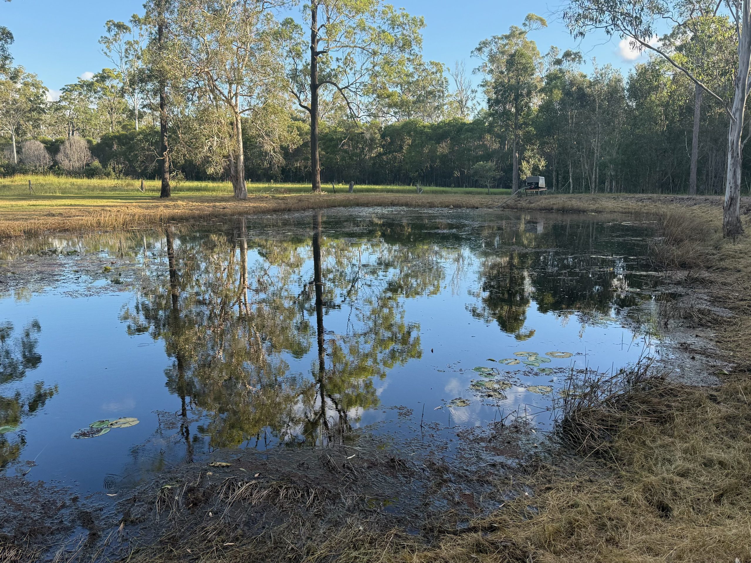 200 Parke Avenue, SUNSHINE ACRES, QLD 4655 AUS