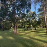 200 Parke Avenue, SUNSHINE ACRES, QLD 4655 AUS